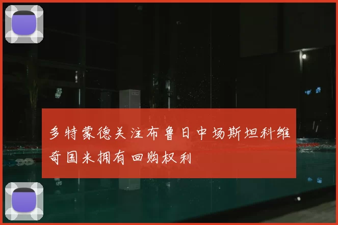 多特蒙德关注布鲁日中场斯坦科维奇国米拥有回购权利
