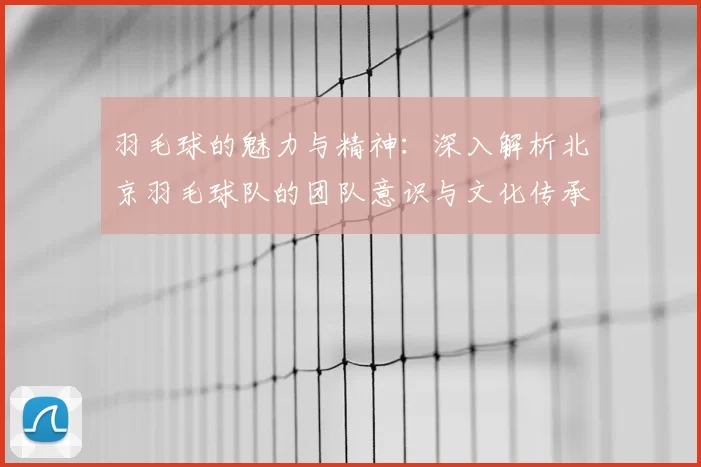羽毛球的魅力与精神：深入解析北京羽毛球队的团队意识与文化传承