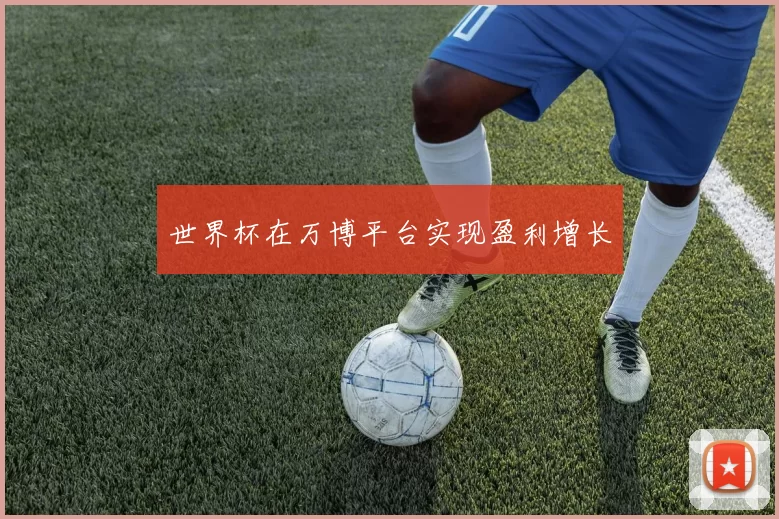 世界杯在万博平台实现盈利增长
