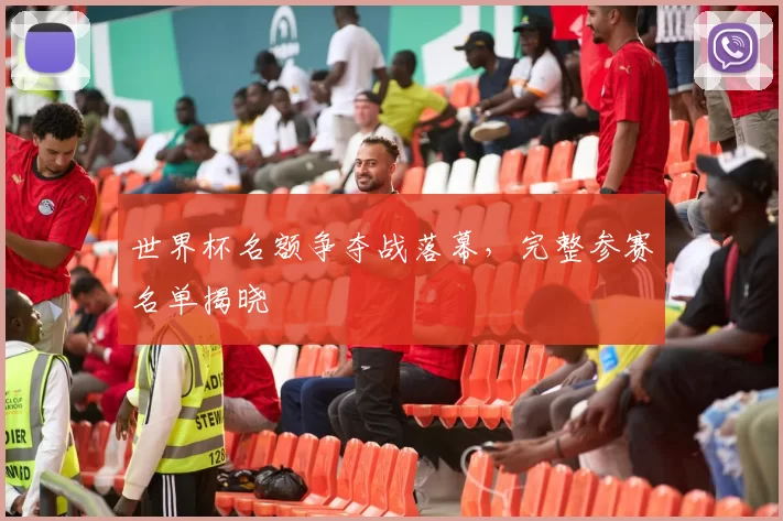 世界杯名额争夺战落幕，完整参赛名单揭晓
