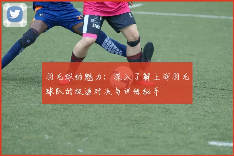 羽毛球的魅力:深入了解上海羽毛球队的极速对决与训练秘辛