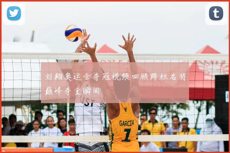 刘翔奥运会夺冠视频回顾跨栏名将巅峰夺金瞬间