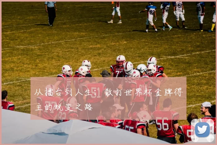 从擂台到人生:散打世界杯金牌得主的蜕变之路