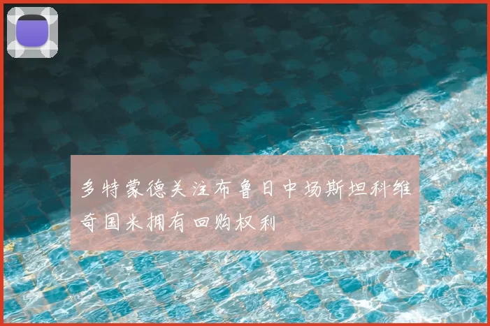 多特蒙德关注布鲁日中场斯坦科维奇国米拥有回购权利