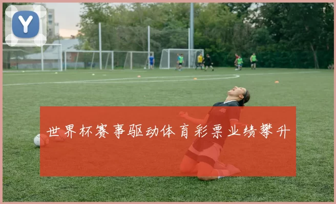 世界杯赛事驱动体育彩票业绩攀升