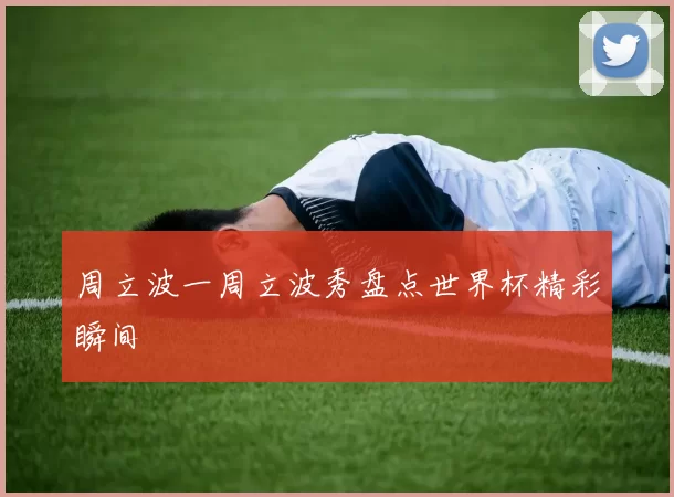 周立波一周立波秀盘点世界杯精彩瞬间