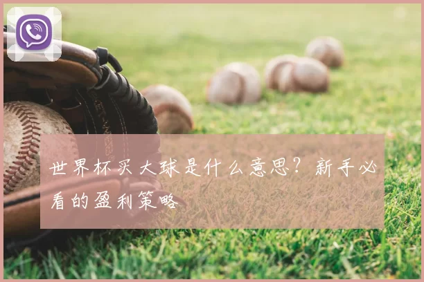 世界杯买大球是什么意思？新手必看的盈利策略