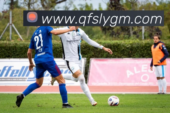 线上买球品牌故事