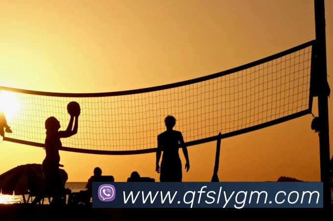 线上买球服务体系